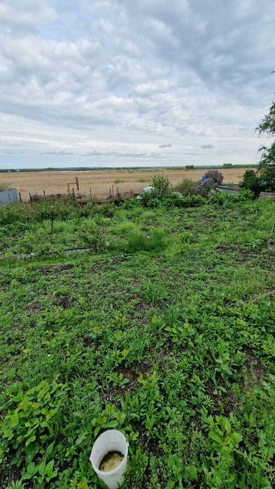 продажа дачи ПКСТ Колос