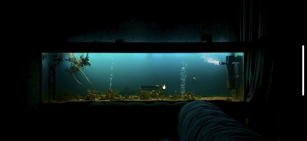 Аквариум продаётся