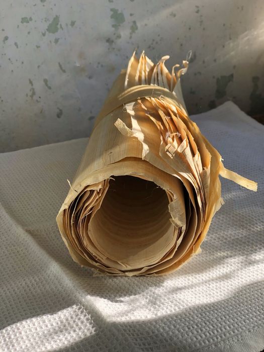 Papirus original egiptean