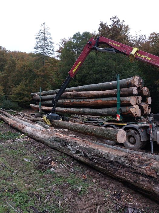 Duc la domiciliu  lemne de foc