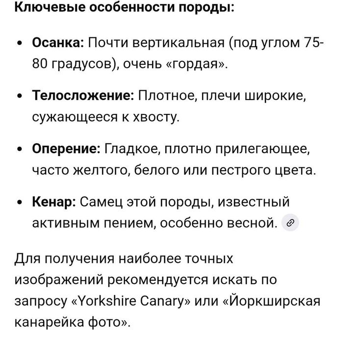 Йоркширская канарейка