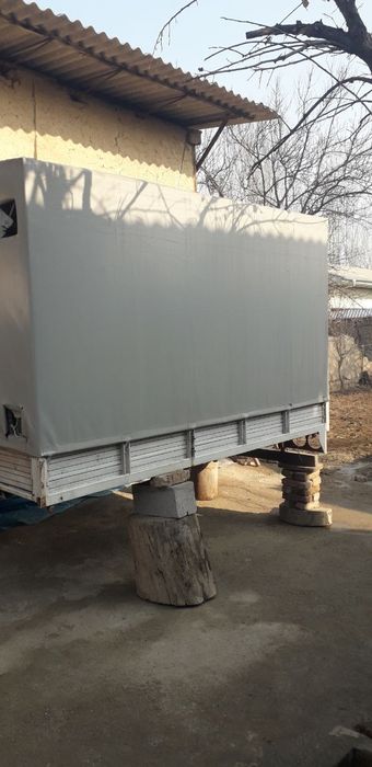 Qoy mol tashigan mòjalangan