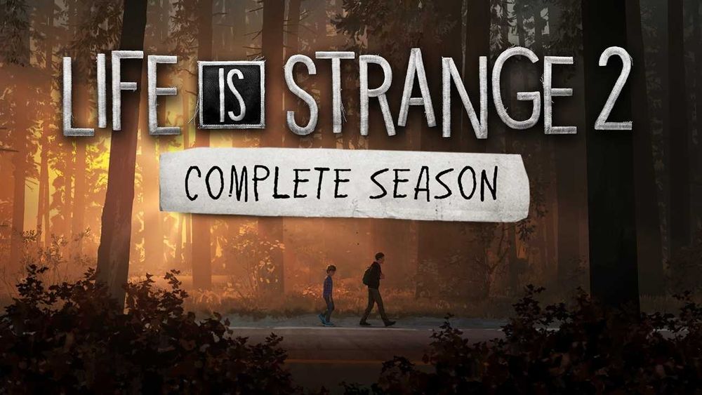 Life Is Strange 2 на PS4, PS5 (новый)