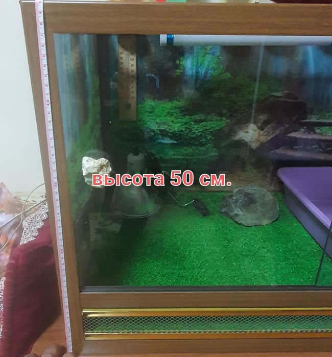 Террариум  продам