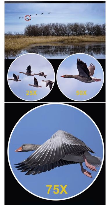 Зрительная труба