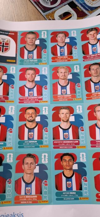 Album Pdf panini world cup 2026