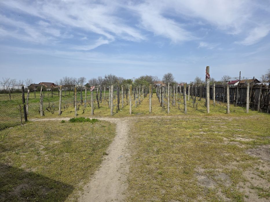 Vand casa comuna Celaru, sat Soreni ,jud.Dolj