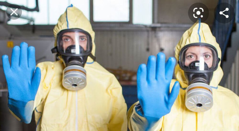 Дезинфекция от тараканов от клопов и грызунов