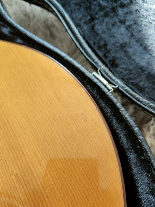 Chitara electro-acoustica Terry Pack