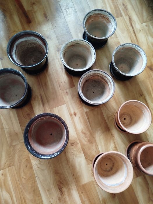 Горшки для посадки растений