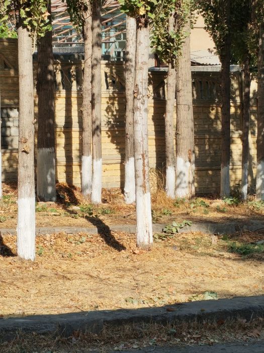 Terak sotiladi. 4m toʻsindan 2 ta chiqadi, ploram qilinadigani ham bor