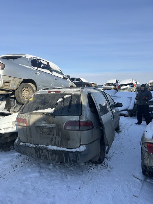 На разбор Сиена   .