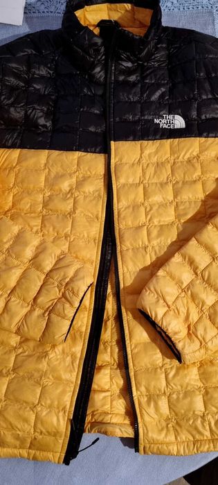 Мъжко яке The North  face