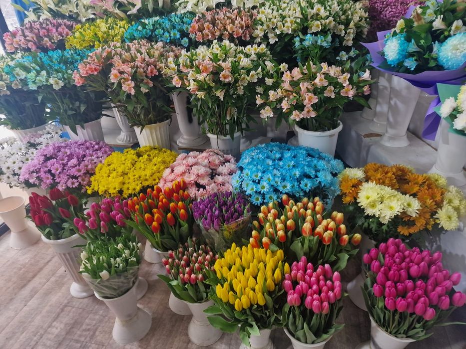 Тюльпаны отборные крупные