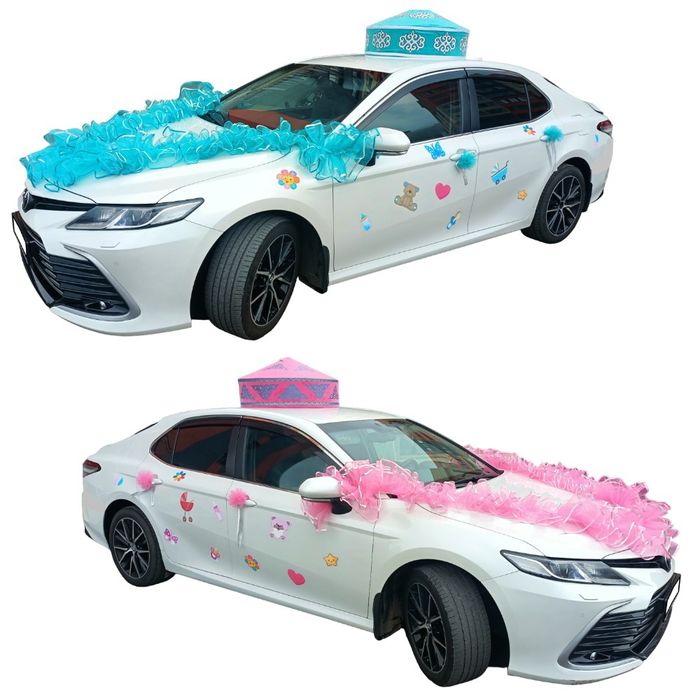 Выписка из Роддома!