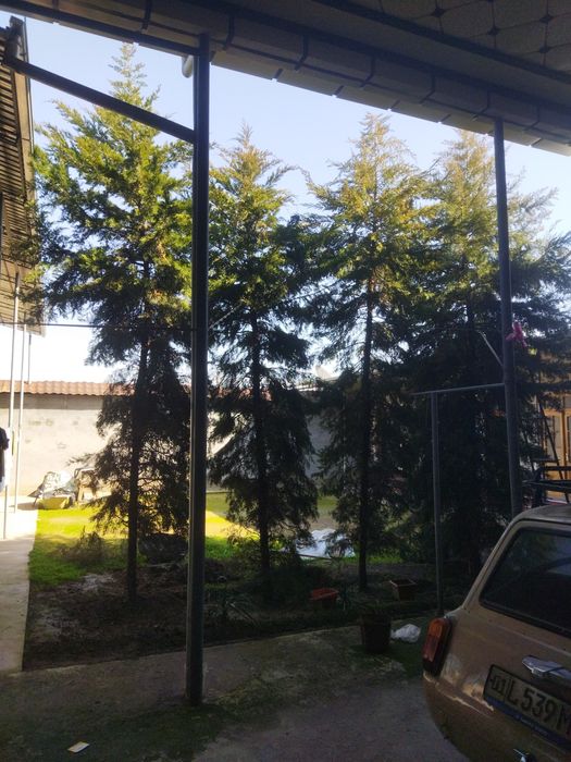 Эхсонга трекинга 4 та Арча