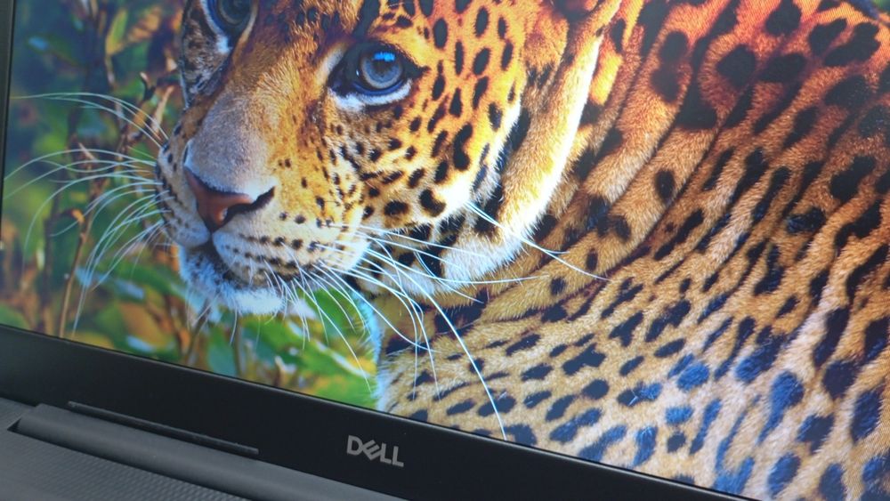 Ноутбук DELL ноутбук