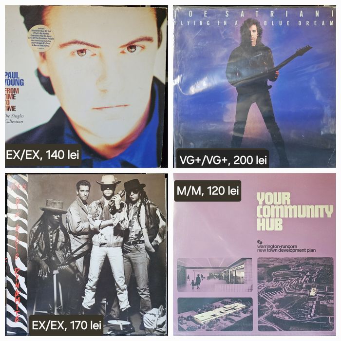 Discuri vinil (vinyl)