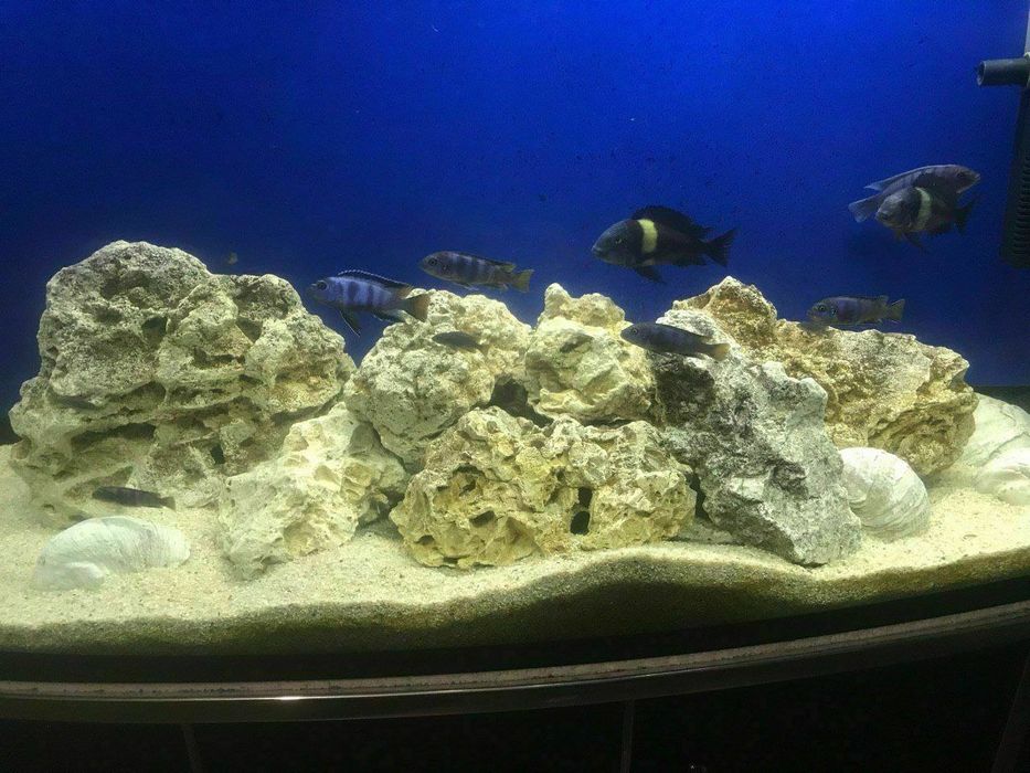 Песчаник камень для аквариума