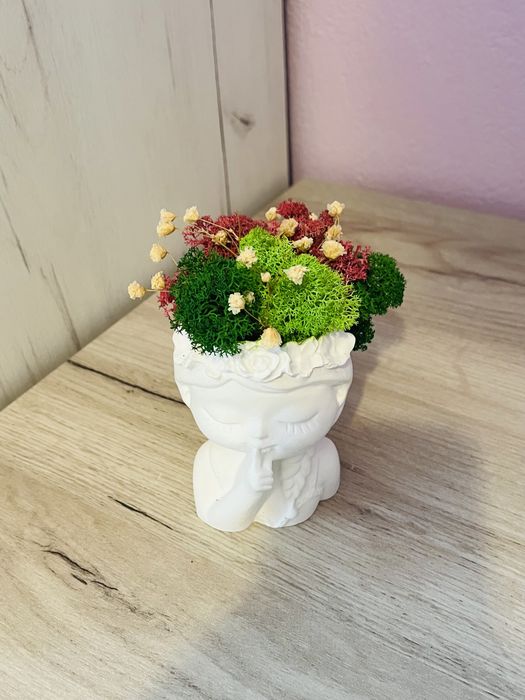 Кашпи със скандинавски мъх