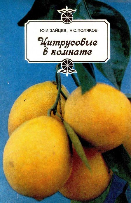Цитрусовые в комнате.
Ю.И. Зайцев, Н.С. Поляков