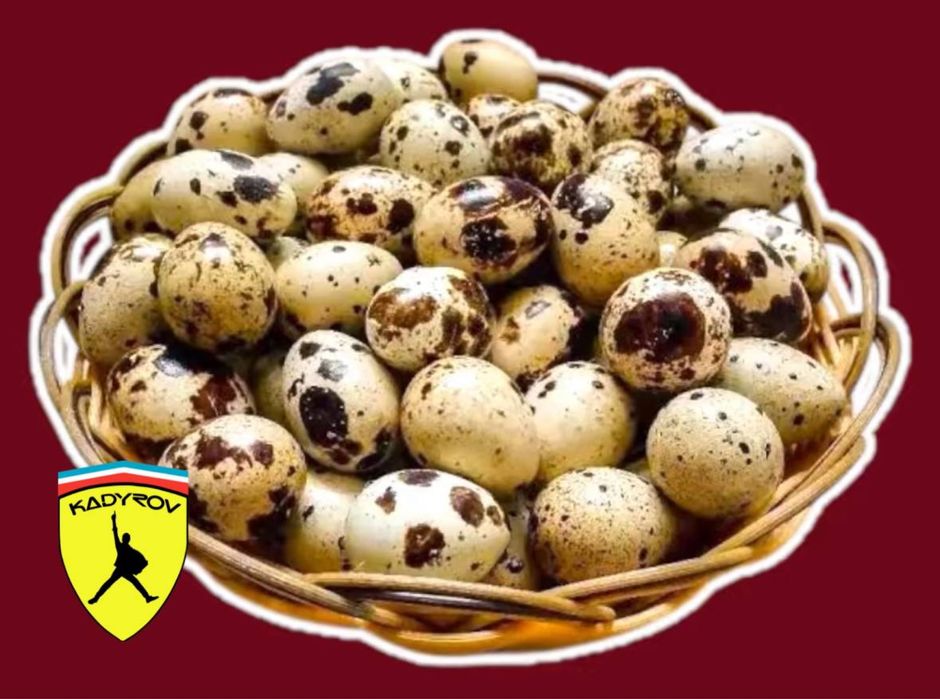 Оптом перепелиные яйца для магазинов и торговых сетей