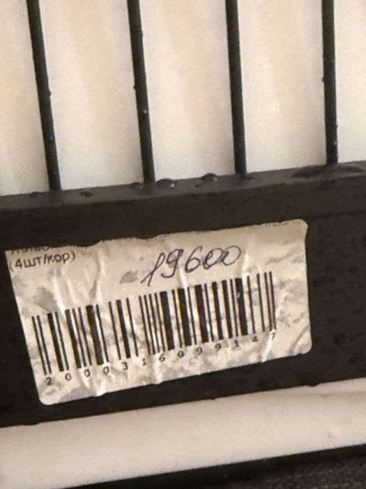 Попугай и клетка