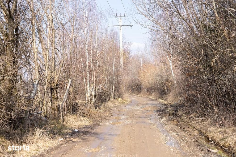 Bran Sohodol,5967mp+teren bonus,intravilan constructii P+E+M,comision0