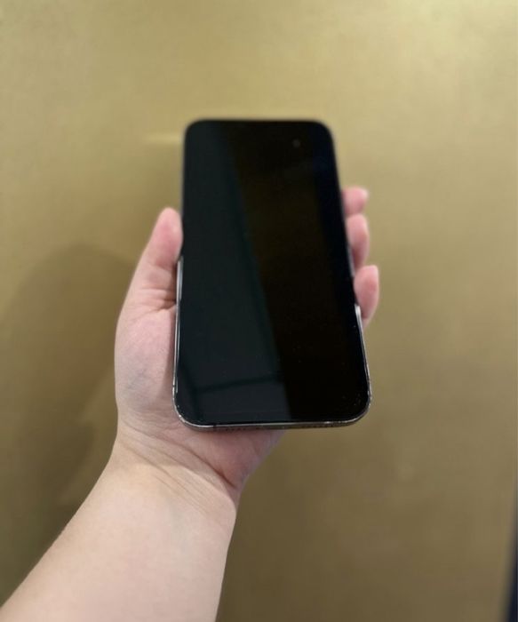 Iphone 13 pro max. Память 256.