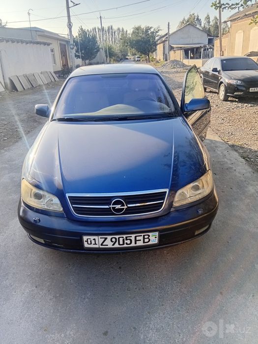 Balonlar yangi oldi oʼng kriloda kichik pitno bor