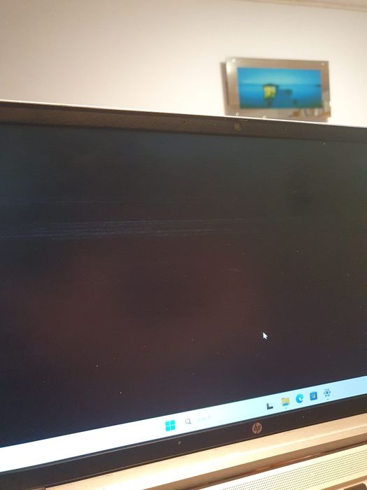 Laptop Hp Probook - Laptop msi