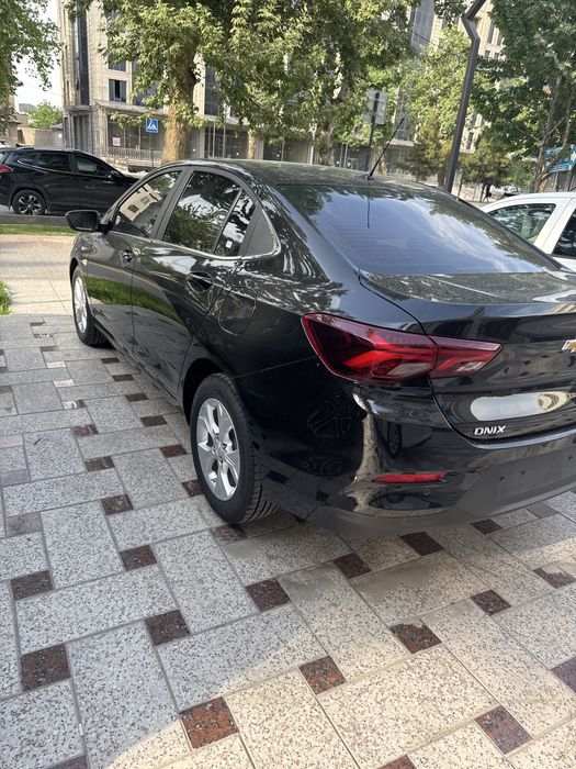 Onex 6 позитсия краска тозза