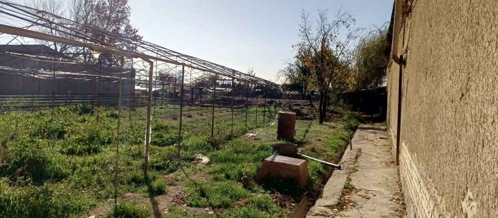 Бош эр сотилади кибрейда