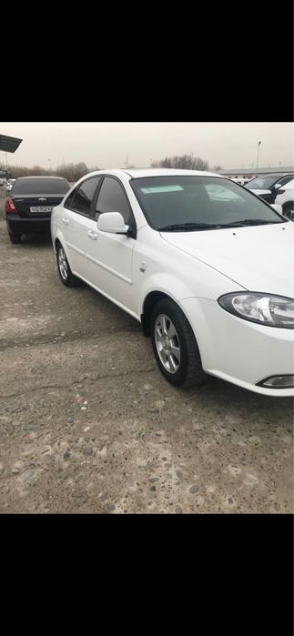 GeNtRA родная краска 2022 г