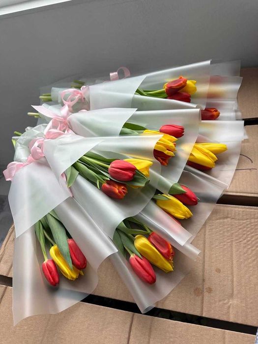 Тюльпаны оптом беллорусь