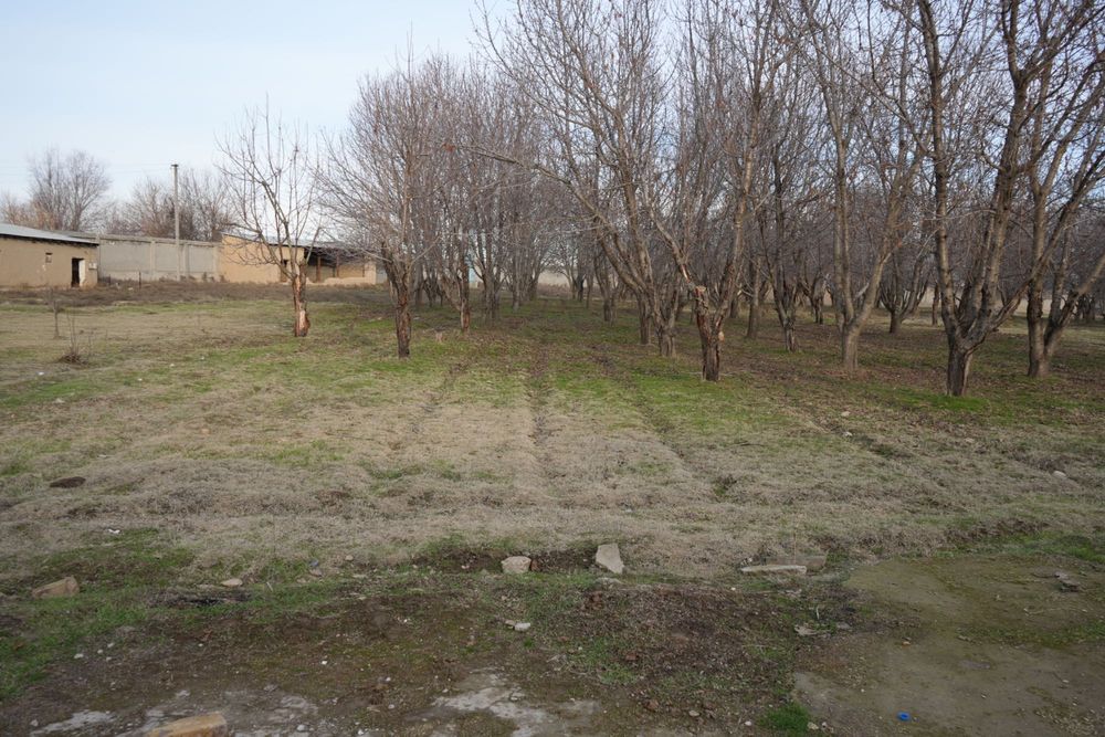 Дача с бассейном и фермой в городе Нуравшон (бывшая Тойтепа)