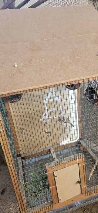 Клетка для птицы