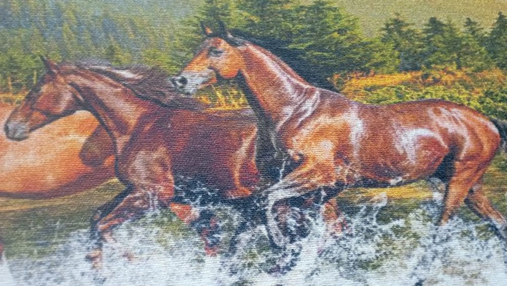 Продам большую и красивую картину на холсте , новая , 63/122 за 10.00 ...