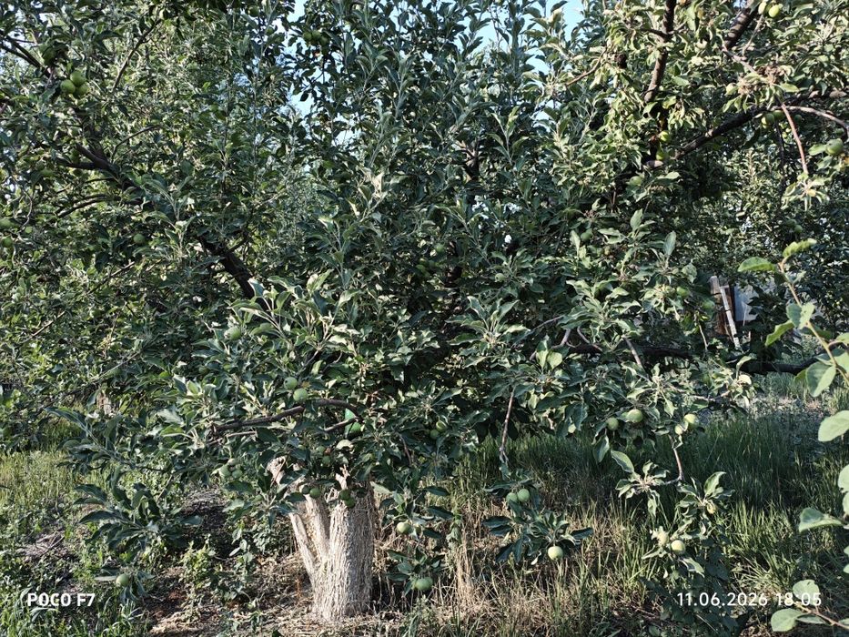 46 соток , Продаётся дом 3 комнат,,,