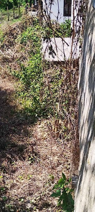 Къща с Трънска банкя