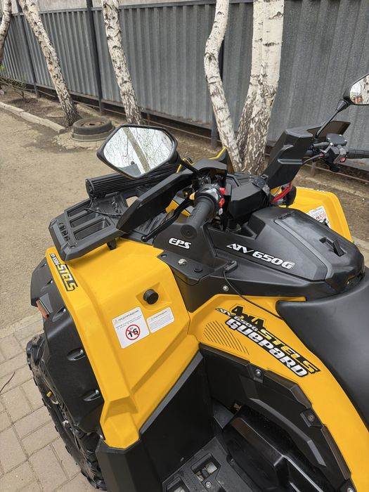 Stels guepard 650 квадроцикл