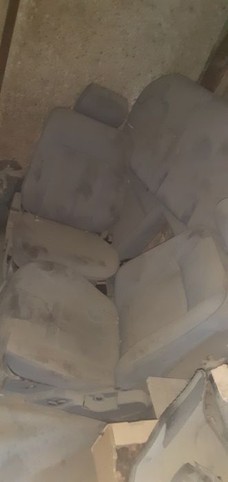 Салон лупарика вилур