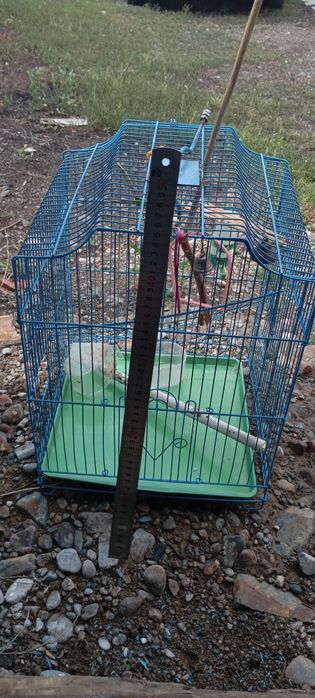 Клетка для попугая