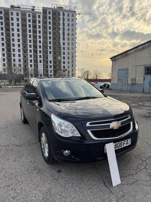 coblt 2023 Darkmoon blue