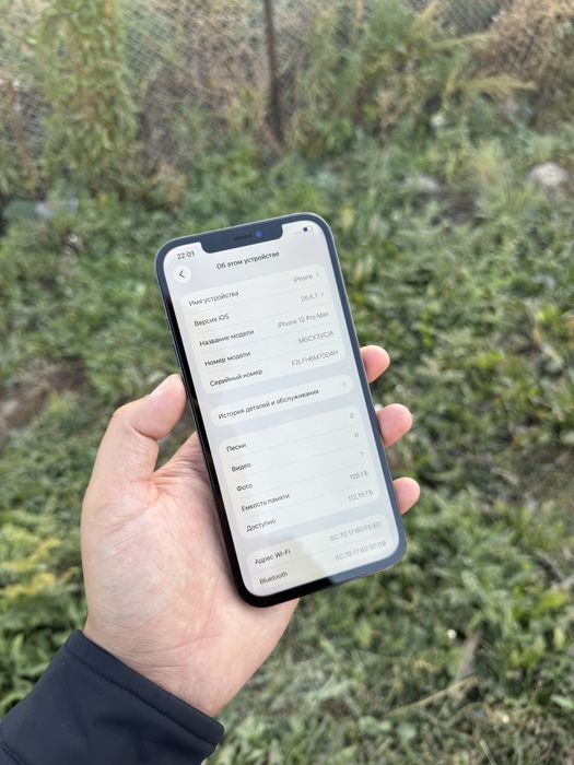 iPhone 12 Pro Max 128gb 100%