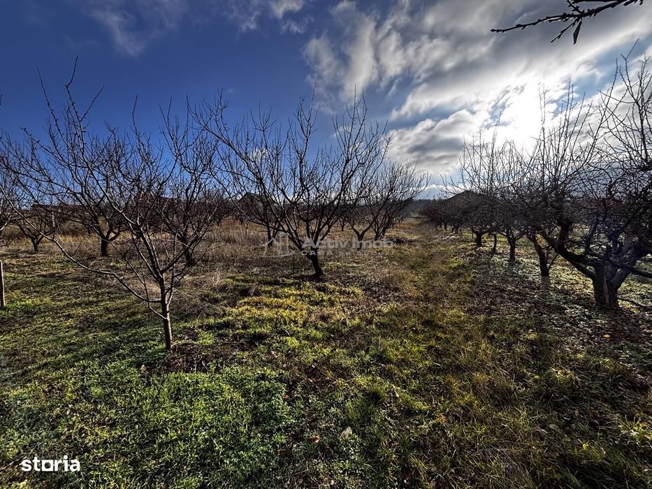Teren Intravilan Str Livezilor
