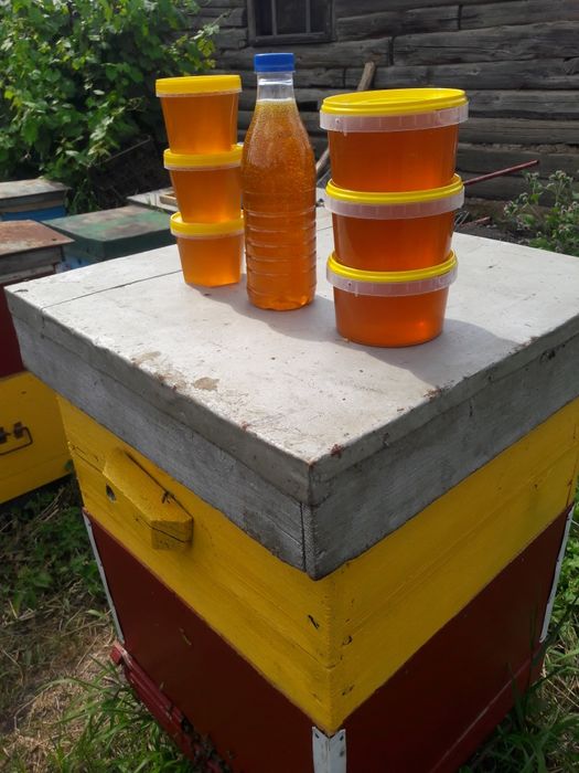 Продам свежий Мёд!!!