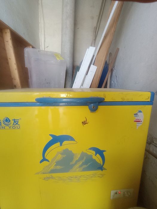 muzlatgich(морозилка)