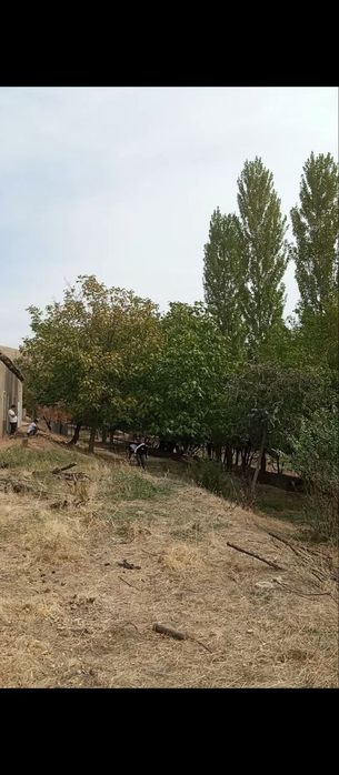 Yer uy sotiladi tovoqsoy