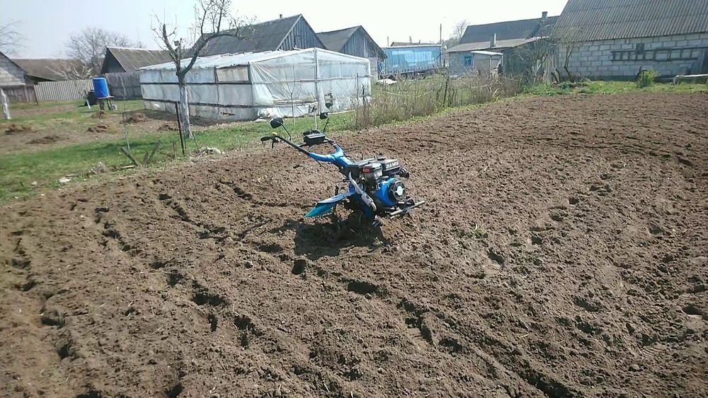Вспышка огородов